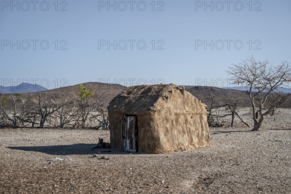 Himba huts, traditional Himba village in the savanna, arid countryside, Kaokoveld, Kunene, Namibia
