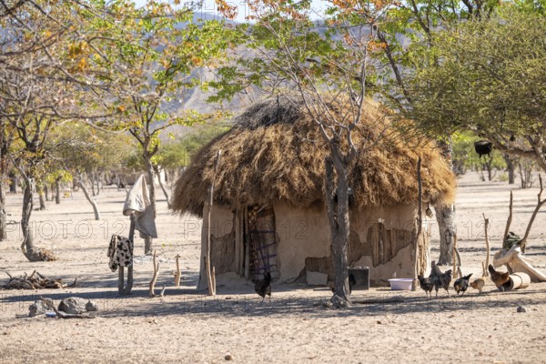 Village and hut in the savanna, Hakaona tribe, also Havakona or Hakawona, near Opuwo, Kunene, Namibia