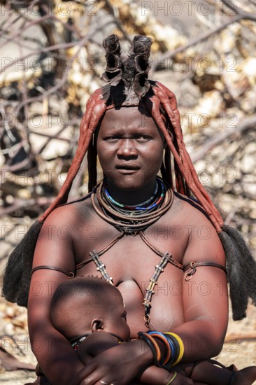 Himba woman, portrait, traditional Himba village, Kaokoveld, Kunene, Namibia