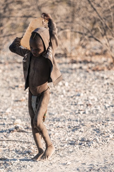 Himba child fetches water, carries canisters, traditional Himba, Kaokoveld, Kunene, Namibia