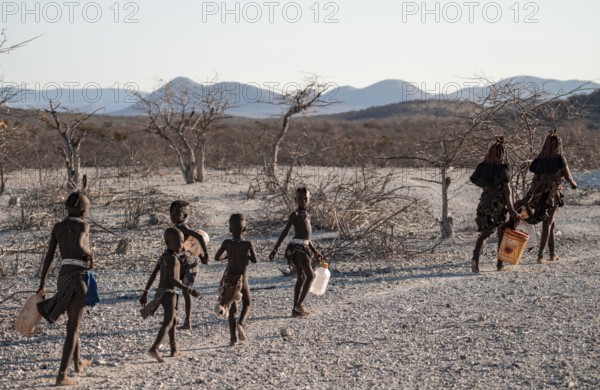 Himba woman and children run to fetch water with canisters through dry countryside, traditional Himba, Kaokoveld, Kunene, Namibia