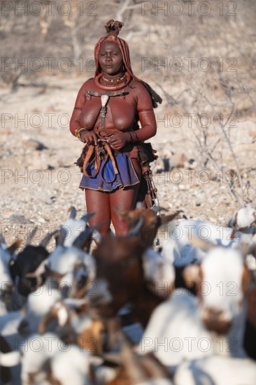 Himba woman taking care of goats, traditional Himba village, Kaokoveld, Kunene, Namibia
