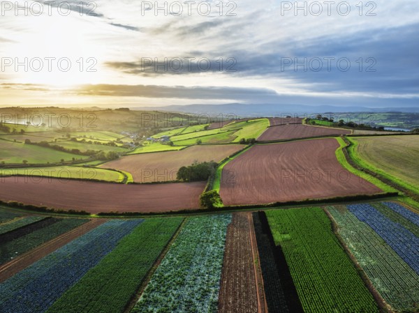Colours of autumn Fields and Farms over Sheldon from a drone, Torbay, Devon, England, United Kingdom