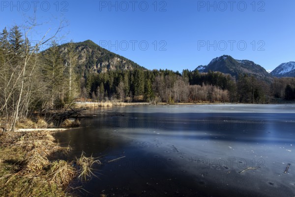 Moor, moor pond, icy, winter, behind Allgäu Alps, Oberstdorf, Oberallgäu, Allgäu, Bavaria, Germany