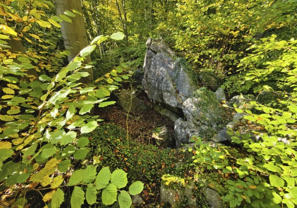Sea of rocks in autumn, Hemer, Sauerland, North Rhine-Westphalia, Germany