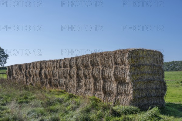 Stacked straw bales at the edge of the meadow, Ahrenshoop, Darß, Mecklenbnurg-Western Pomerania, Germany