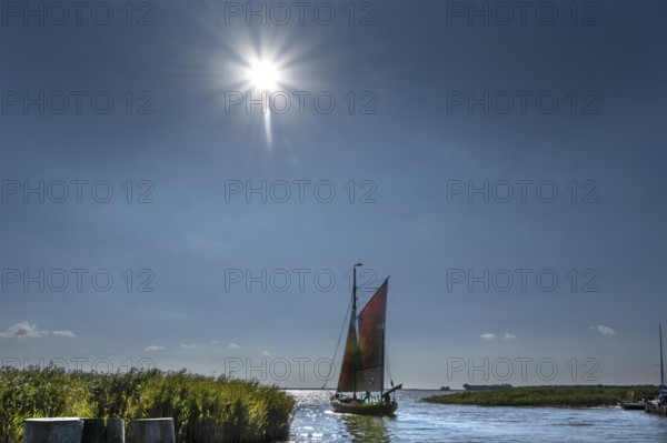 Zeesboot, former historic fishing boat, leaves the port of Ahrenshoop, Sonnenstern, Darß, Mecklenburg-Western Pomerania, Germany