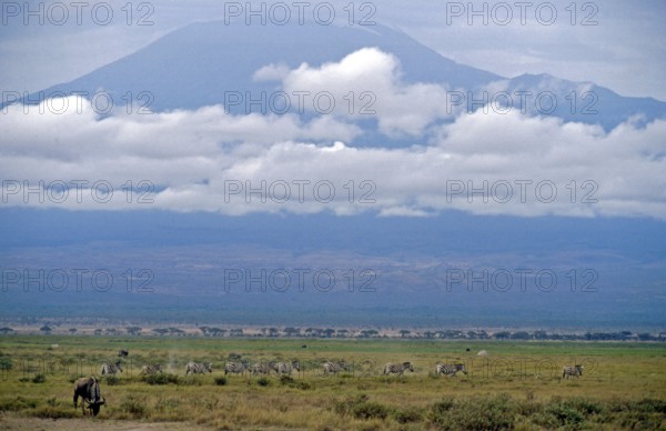 View of Mount Kilimanjaro from Amboseli National Park, Kenya, Africa, June 2000, vintage, retro, old, historic