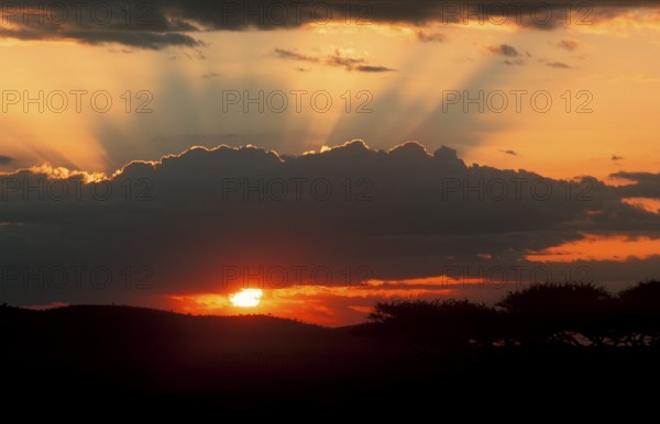 Sunset over Serengeti, Tanzania, Africa, June 2000, vintage, retro, old, historic