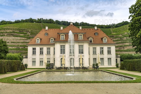 The Saxon State Winery Schloss Wackerbarth or Wackerbarth's Ruh' with Baroque Castle in Niederlößnitz, Radebeul, Saxony, Germany