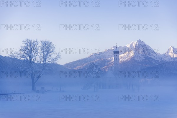 Snowy mountain landscape with St. Coloman pilgrimage church in the foreground and foggy background, Schwangau near Füssen, Ostallgäu, Allgäu, Bavaria, Germany