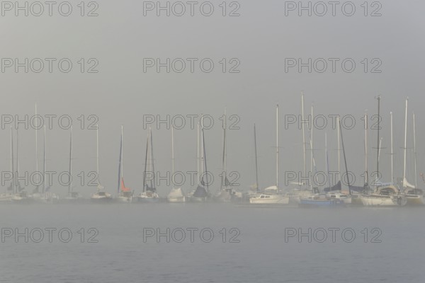 Hennesee, sailboats at boat dock in thick fog, Hennetalsperre, Sauerland-Rothaargebirge nature park Park, North Rhine-Westphalia, Germany