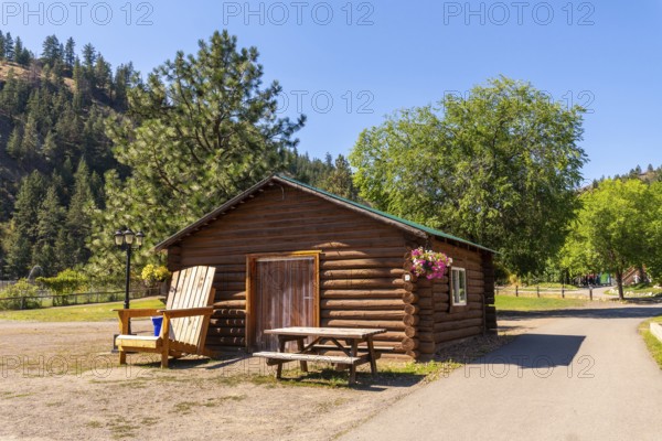 Log cabin basking in the sunlight amidst lush greenery and towering trees, offering a serene escape in the heart of nature, located in kamloops, british columbia