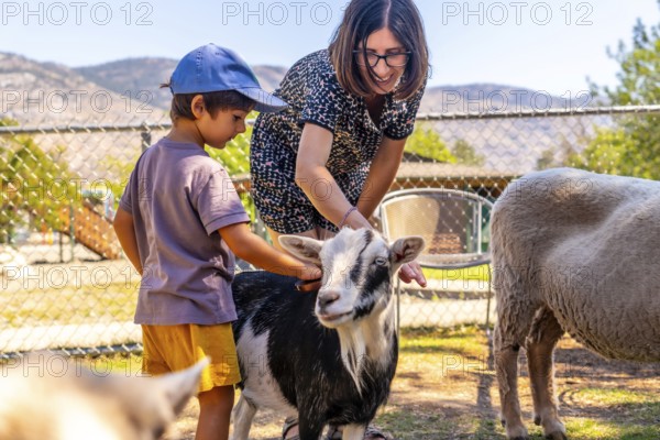 Happy mother and son petting a goat together at a petting zoo in kamloops, british columbia, enjoying a sunny day outdoors surrounded by animals