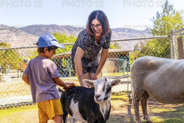 Happy mother and son brushing a goat at a petting zoo, enjoying a sunny day outdoors in kamloops, british columbia, surrounded by farm animals and a wire fence