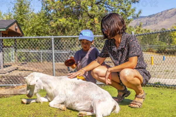 Mother and son enjoying a sunny day outdoors at a petting zoo in kamloops, british columbia, happily petting a friendly goat and creating lasting memories together