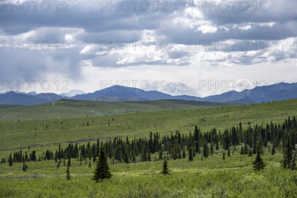 Tundra and mountain landscape with Mount Denali or Mount McKinley in dramatic cloudy skies, Denali National Park, Alaska, USA