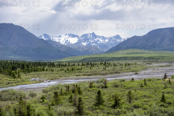 Savage River, tundra and mountainous landscape, Denali National Park, Alaska, USA