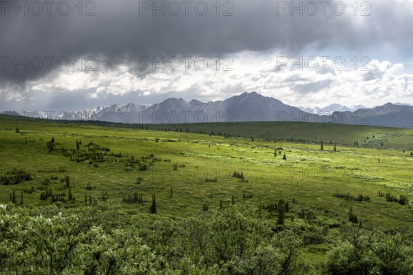 Tundra and mountain landscape with dramatic cloudy sky, Denali National Park, Alaska, USA