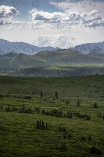 Tundra and glaciated peak of Denali or Mount McKinley, mountainous landscape, Denali National Park, Alaska, USA