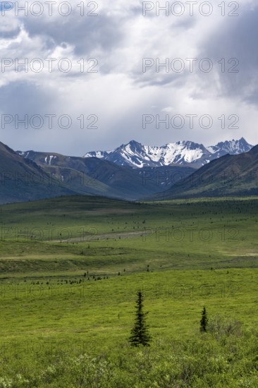 Tundra and mountain landscape with dramatic cloudy sky, Denali National Park, Alaska, USA