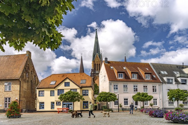The Town Hall Market in Schleswig's Old Town and St. Peter Cathedral, City of Schleswig, Schleswig-Holstein, Germany