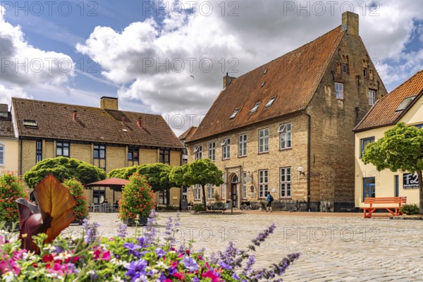 The town hall market in the old town of Schleswig, Schleswig-Holstein, Germany