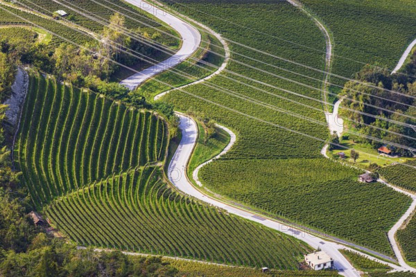 Power lines across vineyards and fields, view from Vercorin, Val d'Anniviers, Valais Alps, Canton of Valais, Switzerland