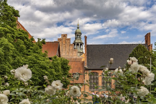 Courtyard of the Town Hall in the Hanseatic City of Lüneburg, Lower Saxony, Germany
