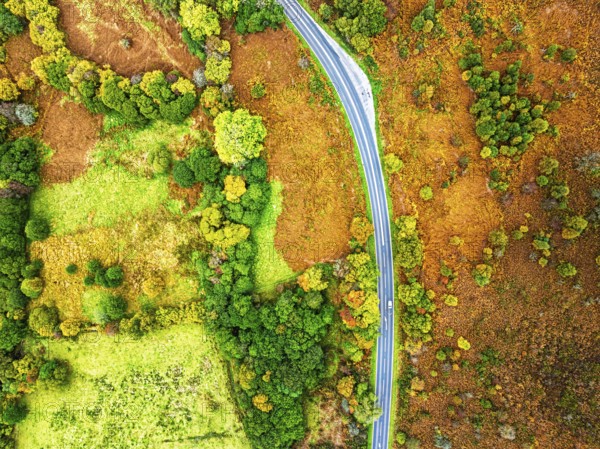 Top Down view of Autumn colours over River Wye and Road A470 from a drone, Llanidloes, Powys, Montgomeryshire, Wales, UK