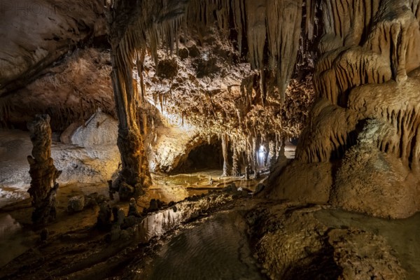 Stalactites and stalagmites, rock formations in a stalactite cave, Grotta del Fico, Gulf of Orosei, Baunei, Sardinia, Italy