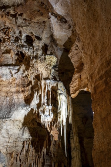 Stalactites and stalagmites, rock formations in a stalactite cave, Grotta del Fico, Gulf of Orosei, Baunei, Sardinia, Italy
