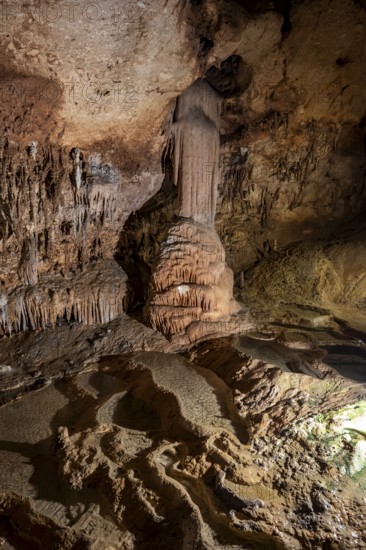 Stalactites and stalagmites, rock formations in a stalactite cave with water basin, Grotta del Fico, Gulf of Orosei, Baunei, Sardinia, Italy