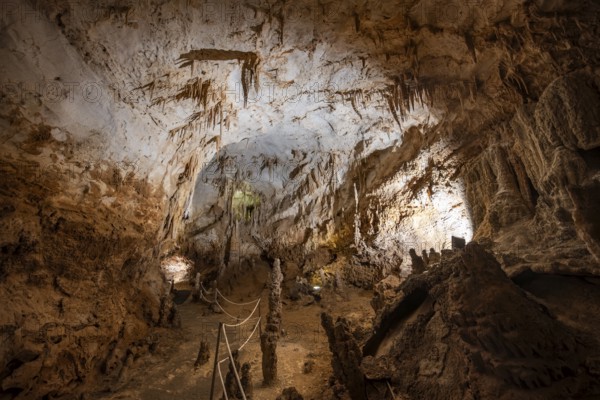 Stalactites and stalagmites, rock formations in a stalactite cave, Grotta del Fico, Gulf of Orosei, Baunei, Sardinia, Italy