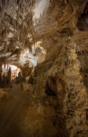 Stalactites and stalagmites, rock formations in a stalactite cave, Grotta del Fico, Gulf of Orosei, Baunei, Sardinia, Italy