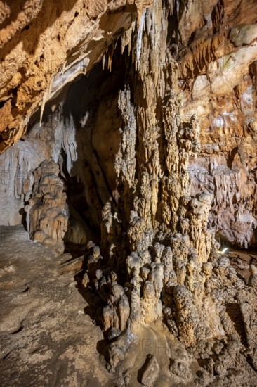 Stalactites and stalagmites, rock formations in a stalactite cave, Grotta del Fico, Gulf of Orosei, Baunei, Sardinia, Italy