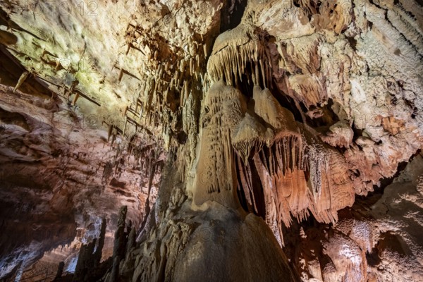 Stalactites and stalagmites, rock formations in a stalactite cave, Grotta del Fico, Gulf of Orosei, Baunei, Sardinia, Italy