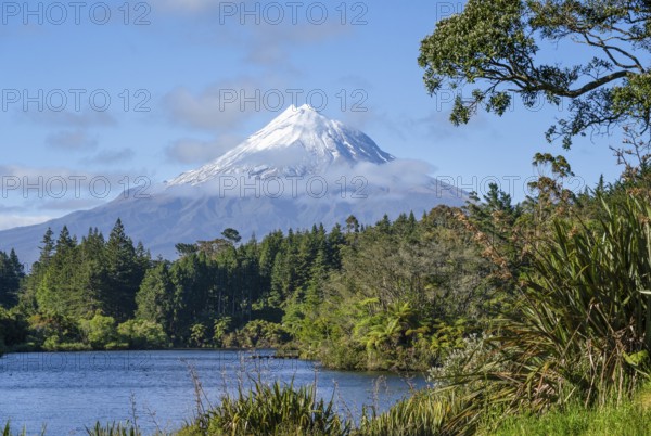 Lake Mangamahoe with views of Mount Taranaki. Egmont National Park, Taranaki Region, North Island, New Zealand