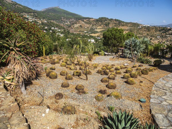 Cactus y Otras Suculentas 'Mora i Bravard', Botanical Garden, Botanic garden, cactus collection, village Casarabonela, Andalusia, Spain