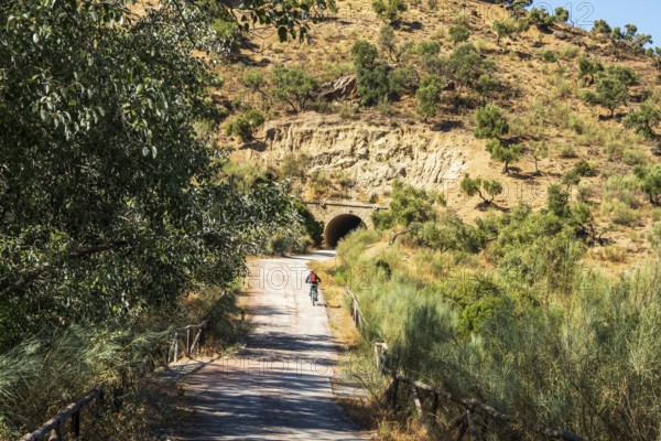 Woman riding a bycicle, cycle path Via Verde de la Sierra, path leads through a tunnel, Puerto Serrano to Olvera, near village Olvera, Andalusia, Spain