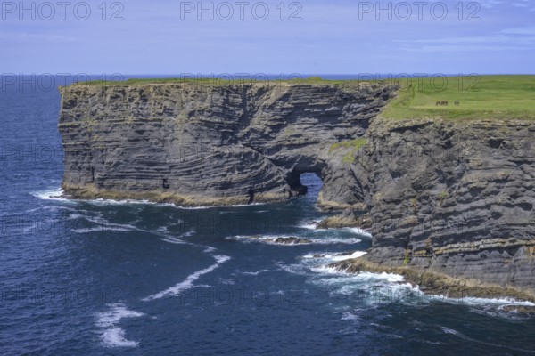 Cliff coast with rock arch, Kilkee, County Clare, Ireland