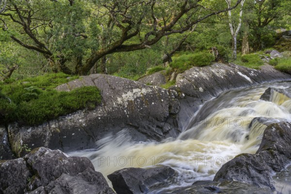Stream in Killarney National Park, Muckross, Kerry, Ireland