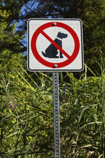 Posted white, red and black pictogram sign warning that dogs are not allowed or forbidden in public park, Quebec, Canada