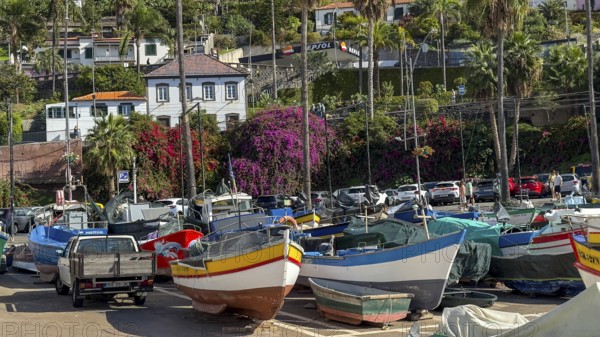 Camera de Lobos fishing village, harbour with fishing boats, Madeira, Portugal