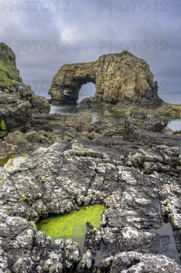 Green algae in tide pools at Pollaird Sea Arch, Fanad, County Donegal, Ireland