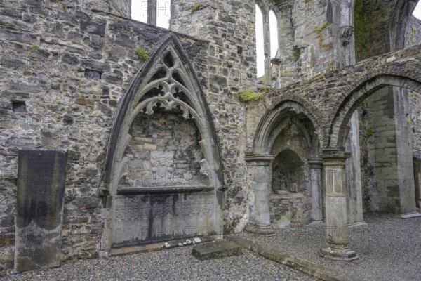 Ruins of Sligo Abbey (Dominican) founded 1253, Sligo, County Sligo, Ireland