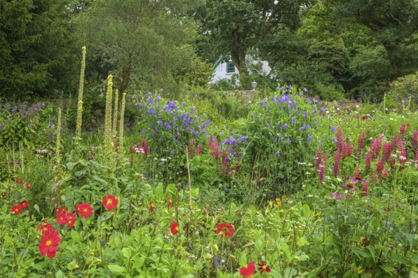 Castle Gardens, Glenveagh National Park, Cross Roads, Co. Donegal, Ireland