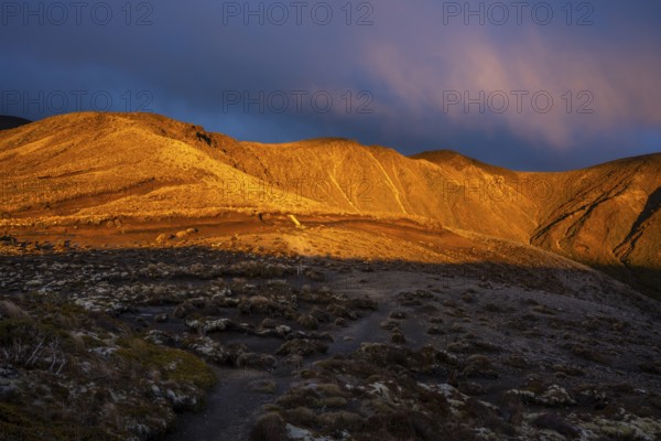 Volcanic landscape, Tama Lake Walk (Tama Lakes Track), evening light, sunset. Tongariro National Park, North Island, New Zealand