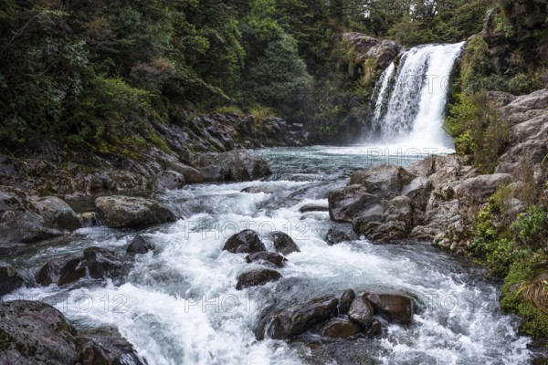 Waterfall Tawhai Falls (Gollum's Pool), location of the film trilogies The Lord of the Rings. Tongariro National Park, North Island, New Zealand