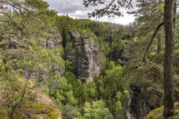 Rock formation and forest in the Bohemian Switzerland National Park near Hrensko, Czech Republic